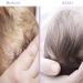 Buy Bee Nature Baby Shampoo Bio - Milk Crust Treatment 99% Tear-Free Honey Mousse for Newborns & Kids - 200ml - Sensitive Scalp Care - Buy Online on GoSupps.com