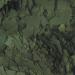TROPICAL Super SPIRULINA Forte 36% 12g - for Fish with Very Demanding Nutritional Needs Flakes - Buy Online on GoSupps.com