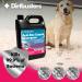 Dirtbusters Antibacterial Carpet Cleaner Shampoo Solution - 5L | Powerful Bacteria-Killing Formula for Pet Stains & Odors | Wool Safe - Buy Online on GoSupps.com