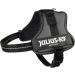 Buy K9 Powerharness XS/Mini-Mini in Anthracite | Premium Dog Harness for Comfortable International Shipping - Buy Online on GoSupps.com