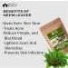 Blessfull Healing Organic 100% Pure Natural Neem Leaves Powder | 100 Gram / 3.52 oz 1 count (Pack of 1) - Buy Online on GoSupps.com