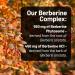 NatureWise Berberine 1000mg - Berberine Phytosome + HCI + Turmeric & Digestive Enzymes - Supports Healthy Blood Sugar + GI + Metabolism + Cholesterol - Non-GMO USA Manufactured - 30 Day Supply  - Buy Online on GoSupps.com