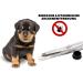 Socialic Tick Pliers + Double Tick Tweezers Set - stainless steel Tick Remover | tick removal kit for humans dogs and cats tweezer set - Buy Online on GoSupps.com
