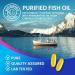 Omega 3 Fish Oil 2400mg - Triple Strength Sustainably Sourced Omega-3 EPA & DHA Supplement Softgels - Purified Formula EPA & DHA Fish Oil Fatty Acids Supplements - Bottled in USA - 60 Softgels 60 Count (Pack of 1) - Buy Online on GoSupps.com