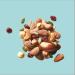 Prana Organic Fuji Fruit & Nut Trail Mix | Premium Salty Blend with Brazil Nuts Almonds Cashews Hazelnuts Thompson Raisins Pumpkin & Sunflower Seeds Cranberries & Algarve Sea Salt | Non-GMO Gluten Free Vegan Snack | 150g - Buy Online on GoSupps.com