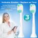 4 Pack Replacement Toothbrush Heads for Philips Sonicare ProtectiveClean 4100 5100 6100 - White - Compatible with DiamondClean, EasyClean, PowerUp - Improve Gum Health - HX6817/01 HX6857/11 - BrightDeal - Buy Online on GoSupps.com