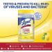 Lysol Disinfectant Wipes - Lemon and Lime Blossom, 80 Count - Antibacterial Cleaning for Multi-Surface, Disinfecting and Cleaning - Buy Online on GoSupps.com
