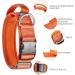 OneTigris Orange Dog Collar with Metal Buckle for Medium Dogs - Durable & Stylish Pet Accessory - Buy Online on GoSupps.com