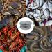 Anglerbasics Portable Crab Trap | Fish Trap for Minnow, Crawfish, Shrimp, Lobster | Bait Snare Trap (17.72x7.87) - Buy Online on GoSupps.com