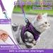 Rabbitgoo Adjustable Cat Dishes with Leash | Reflective Stripes | Soft & Stylish | Purple for Cats & Kittens (1 Pack) - Buy Online on GoSupps.com