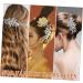 Mikinona Rhinestone Tuck Comb Flower Side Comb Side Combs Bridal Hair Comb Weeding Bride Hair Accessories Wedding Accessories Hair Comb for Women Rhinestone Leaf Hairpin Hair Jewelry Metal - Buy Online on GoSupps.com