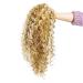 SWACC 20-Inch Big Bouffant Curly Wig for Women - Synthetic Heat Resistant Hair Piece with Cap | Strawberry Blonde/Bleach Blonde Highlights (27H613 - Buy Online on GoSupps.com