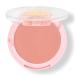 Shop wet n wild Pampered Blush Flower Power - Vibrant and long-lasting blush shade - Buy Online on GoSupps.com