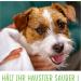 Buy FIRSTPAW XXL Nursing Towels for Dogs - Biodegradable Aloe Vera Cleaning Cloths | 400 Pack of Hypoallergenic Wipes for Eyes Ears & Paws - International Shipping Available - Buy Online on GoSupps.com