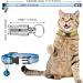 18 Piece Reflective Cat Collars with Bell and Safety Buckles | Durable Nylon Adjustable Collars with 6 Weatherproof ID Tags for Kittens and Puppies - Buy Online on GoSupps.com