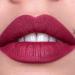 Catrice Plumping Lip Liner 090 The Wild One - Buy Internationally | 1 Piece Pack - Buy Online on GoSupps.com