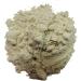 100% Natural Organic Pure Date Palm Pollen (Powdered) (Weight: 3.5 oz 100 GM) - Buy Online on GoSupps.com