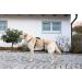 Kerbl 80042 Panic Harness Miami - Escape-Proof Adjustable Grey Dog Harness (48-70cm) for Safe Comfortable Travel - Buy Online on GoSupps.com