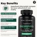 Vital Vitamins Chlorophyll Complex 60 ct + Creatine Capsules 120 ct - Buy Online on GoSupps.com