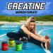 Evolite Nutrition Creatine Monohydrate 500g - Blueberry Flavor Creatine Powder for Pre Workout Boost - Premium Quality Creatine with Taurine - Buy Online on GoSupps.com