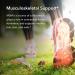 Allergy Research Group MSM Methylsulfonylmethane - 150 Vegetarian Capsules for Joint Health & Wellness - Buy Online on GoSupps.com