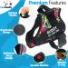 Pawpawify Personalized Dog Harness - No Pull Adjustable for XL Dogs (Chest 32-44in) - Ideal for Training & Walking - Doodle Color - Buy Online on GoSupps.com