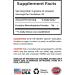 Best Creatine Powder - 100mg Creatine for Energy & Stamina - Top Quality Creatine Supplement (1 Bottle - Buy Online on GoSupps.com
