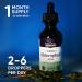 Nutra Well Chlorophyll Liquid Drops - 30 Servings for Immune Support, Energy Boost, Skin Care & Detox Cleanse - Premium Supplement - Buy Online on GoSupps.com