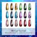 Kredioo Cat Eye Gel Nail Polish-6 Colors 9D Magnetic Gel Galaxy Cat Eye Milky Way Glitter Changing Phantom Chameleon Set Gold Red Blue-Soak Off UV Gel Polish DIY Gel Nail Kit-Black Base Needed Galaxy Cat Eye Gel - Buy Online on GoSupps.com