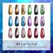 Kredioo Cat Eye Gel Nail Polish Set 6 Colors Gold Red Blue Green Magic 9D Magnetic Gel Polish Kit for Nail Art Soak Off LED UV 18 Effects Gel Salon Home DIY Manicure with Magnet Stick - Buy Online on GoSupps.com
