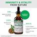 NutraMedix VitalMedix - Cat's Claw & Moringa Plant Extract - Daily Energy Supplement for Immune Health & Overall Vitality - Rich in Vitamins & Minerals (2oz) - Buy Online on GoSupps.com