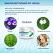 Seborrheic Dermatitis Cream - Fast-Acting Treatment for Face, Scalp, Folliculitis, Dandruff, Psoriasis - 3.4 oz - Buy Online on GoSupps.com