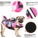 Cit toile Camouflage Dog Life Jacket - Reflective Swimming Vest for Small Medium & Large Dogs | Shark Design | Pink | Safe for Sea Lake & River - Buy Online on GoSupps.com