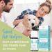 Emergency Bach Flower Globules for Dogs & Cats | 100% Natural Calming Tablets - 1 200 Globules for Panic & Shock - Buy Online on GoSupps.com