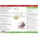 Cadoc - Nature Exclusive Bio-Active Collagen | Premium International Shipping | Enhance Skin & Joint Health - Buy Online on GoSupps.com