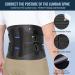 Fit Geno Back Brace Support for Lower Back Pain | Adjustable Lumbar Support for Men & Women | Breathable Design for Herniated Discs & Heavy Lifting | Size L (Waist 37-53 - Buy Online on GoSupps.com