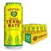 Guayaki Yerba Mate, Clean Energy Drink Alternative, Organic Enlighten Mint, 15.5oz (Pack of 12), 150mg Caffeine 15.5 Fl Oz (Pack of 12)
