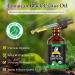 Organic Cold Pressed Castor Oil 2 Pack | 100% Pure Jamaican Black Oil for Hair Growth Eyelashes & Skin - 120ml Glass Bottles - Buy Online on GoSupps.com