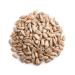 Organic Sunflower Seeds - Camelur 1kg | High-Quality for Baking & More - Delicious Sunflower Seed Taste - Buy Online on GoSupps.com