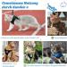 Soft Cat Vest with Leash & Supet Cat Dishes for Kittens & Small Dogs - Blue Size S (26-32 cm) - Ideal for Chihuahua & Pets - Buy Online on GoSupps.com