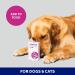 YuMOVE Digestive Care PLUS | Previously YuDIGEST PLUS | Veterinary Strength Fast-acting Probiotic Digestive Support for Dogs All Ages and Breeds | 60 Sachets | Packaging may vary - Buy Online on GoSupps.com