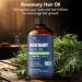 Buy Botanic Hearth 100% Pure Rosemary Oil for Hair Growth | Biotin Infused Hair Treatment | Nourishing & Volumizing with Jojoba & Castor Oil | Non-GMO - 2 fl oz - Buy Online on GoSupps.com