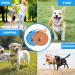 2Pcs Long Rope Leash for Dog Training BetterJonny 15FT Heavy Duty Dog Leash Tie-Out Cable Reflective Nylon Dog Traction Rope for Large Medium Small Dogs Playing Camping Outside Walking or Backyard - Buy Online on GoSupps.com