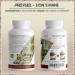 Lions Mane Capsules 540x - 2000mg High-Quality Hericium Erinaceus Extract - 30:1 Ratio 30% Polysaccharides 5% Beta-Glucan - 180-Day Supply (3x180 Capsules) | Premium Lion s Mane Mushroom for Cognitive Health - Buy Online on GoSupps.com