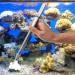 Fistoy 4-in-1 Stainless Steel Aquarium Aquascaping Tools Set for Fish Tanks - Scissor Tweezers Spatula Tool for Aquatic Plants - Silver - Buy Online on GoSupps.com