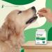 Dog Probiotics - Chicken Flavoured 120 Tablets for Yeast Infection & Digestive Health - Buy Online on GoSupps.com