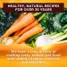 Nature's Recipe Chicken & Turkey Wet Dog Food in Savory Broth 2.75 oz Cups (Pack of 12) - Buy Online on GoSupps.com