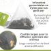 Tea Sencha (Infu x20) - Buy Online on GoSupps.com
