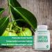 100% Pure Garcinia Cambogia Extract 60% HCA - 1500mg - 90 capsules - Buy Online on GoSupps.com