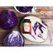 Eclectic Institute Raw Fresh Freeze-Dried Purple Probiotic 300mg - 90 Capsules for Optimal Gut Health - Buy Online on GoSupps.com